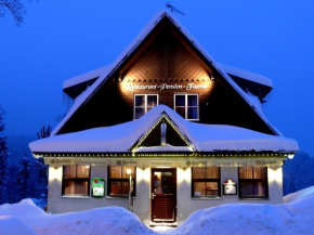 Pension Faema, Harrachov